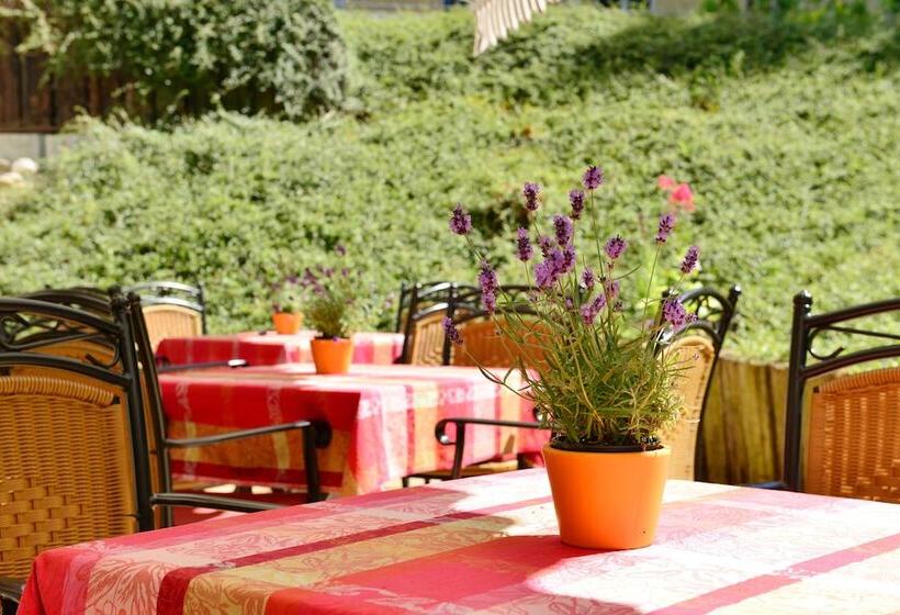 בית מלון כפרי Tyrol