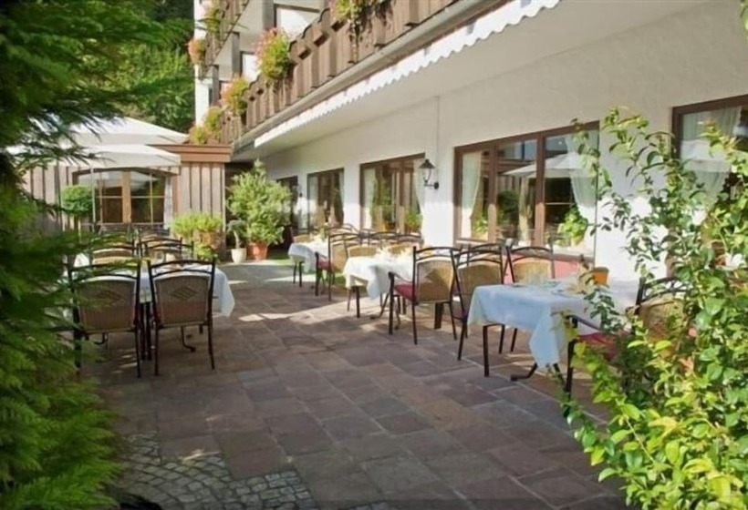 בית מלון כפרי Tyrol