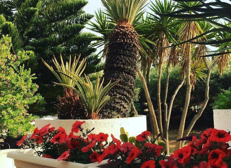 Отель Villa Cetta B&b