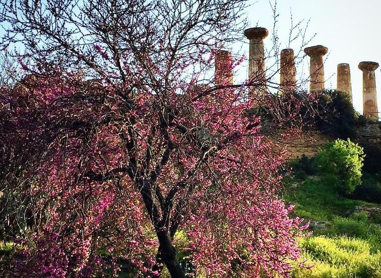 Отель Villa Cetta B&b