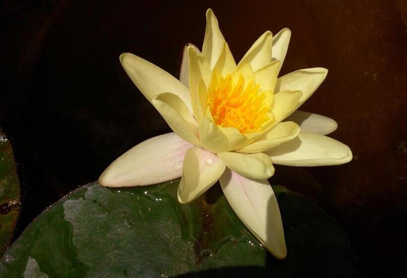 호텔 Villa Hermosa