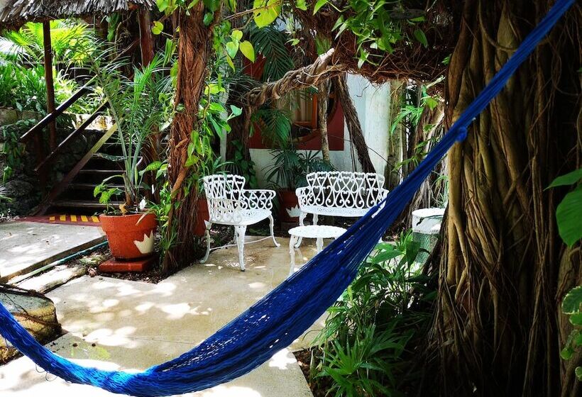 Eco Hotel El Rey Del Caribe