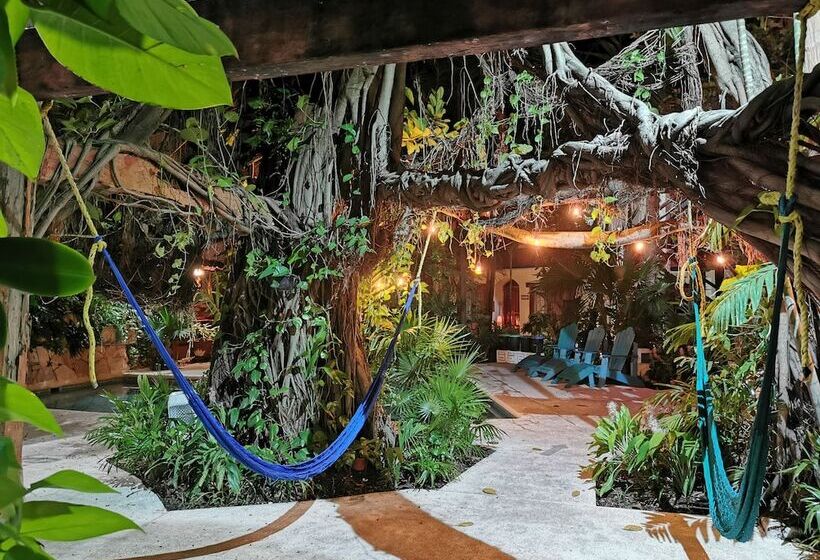 Eco Hotel El Rey Del Caribe