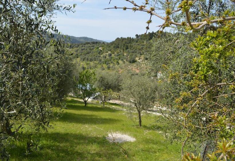 ホテル Agriturismo Valle Dei Gelsi