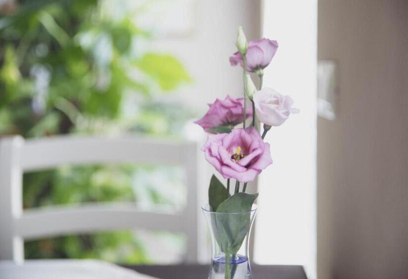 فندق Corte Dei Soavi