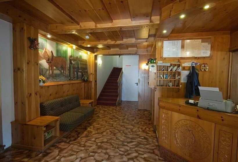 בית מלון כפרי De Fronz