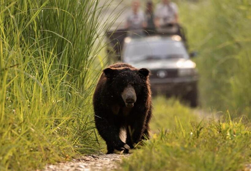 هتل Eden Jungle Resort