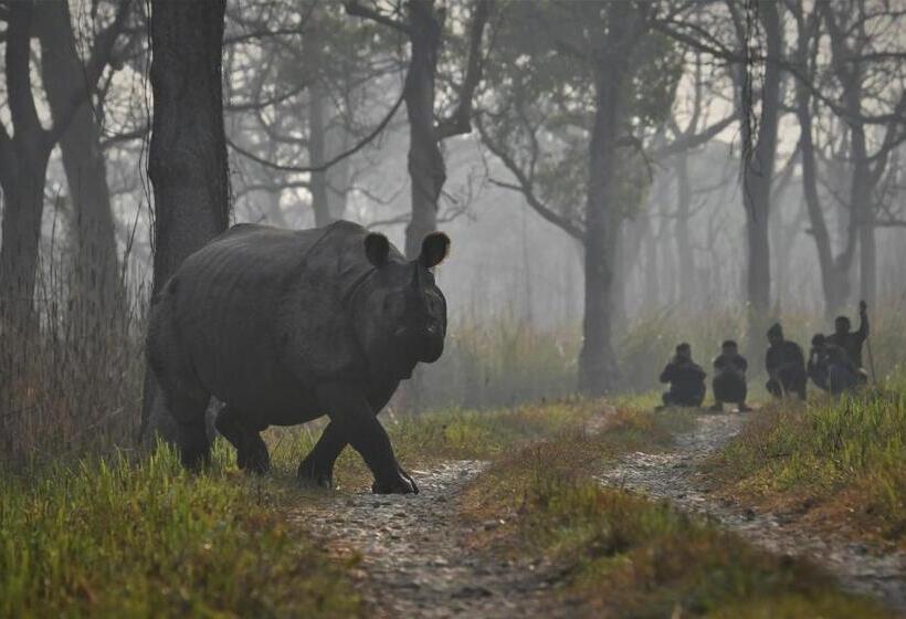 هتل Eden Jungle Resort