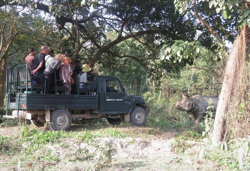 هتل Eden Jungle Resort