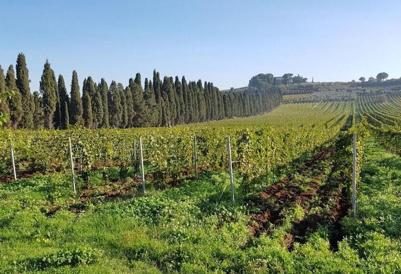 هتل Tenuta Di Pietra Porzia