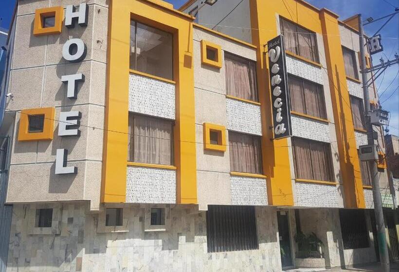 בית מלון כפרי Venecia Confort