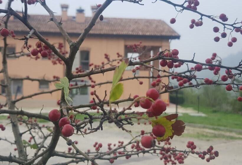 בית מלון כפרי Agriturismo Ben Ti Voglio