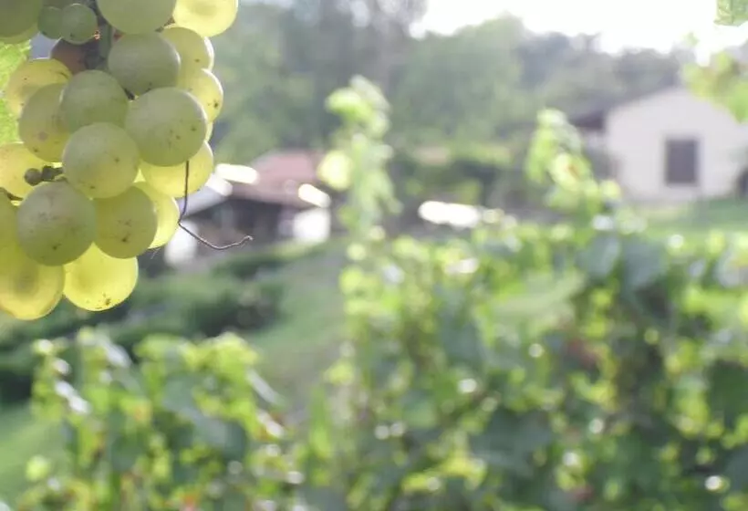 Hotelli Agriturismo Cornolade