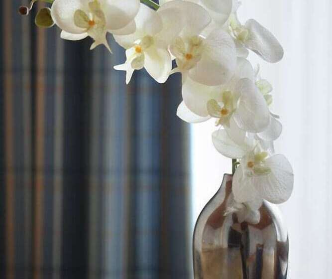 Отель Haus Amedieck