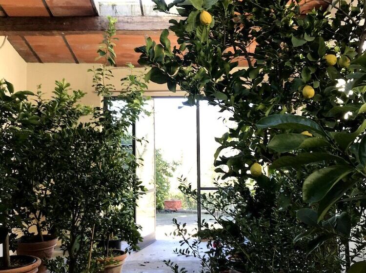 فندق Il Pezzatino