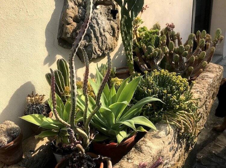 فندق Il Pezzatino