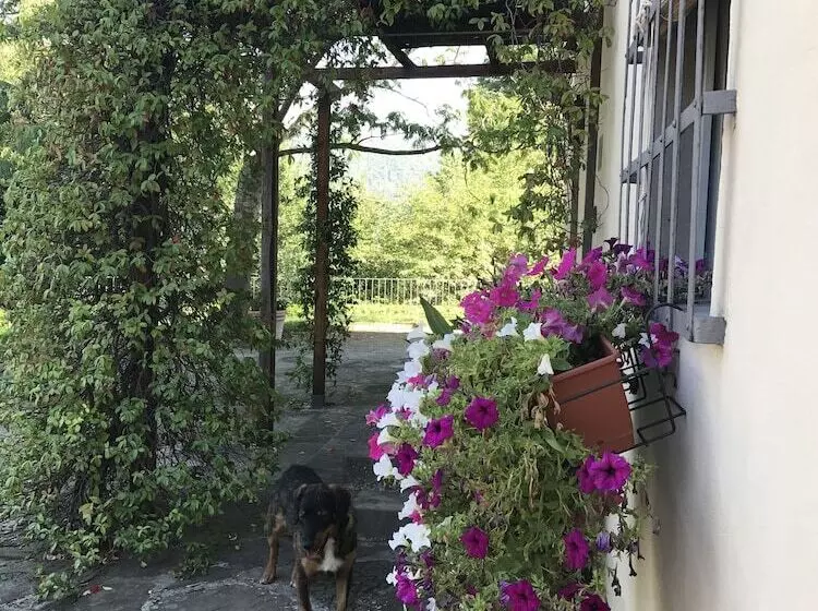 ホテル Il Pezzatino