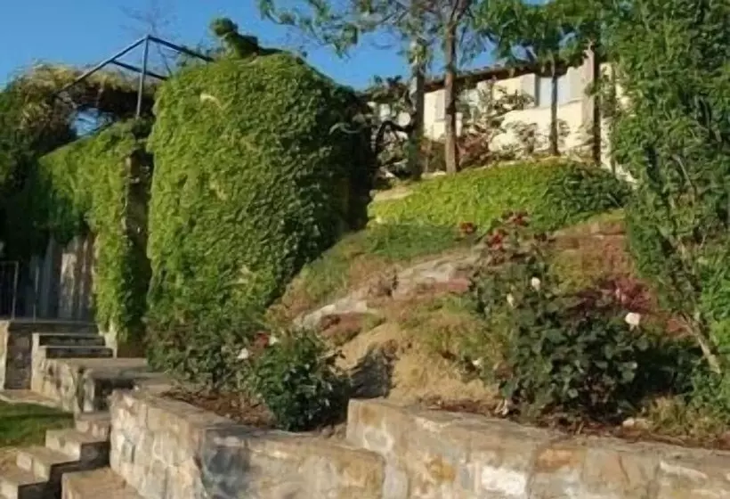 ホテル Il Pezzatino
