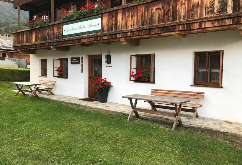 Отель Landhaus Schloss Anras