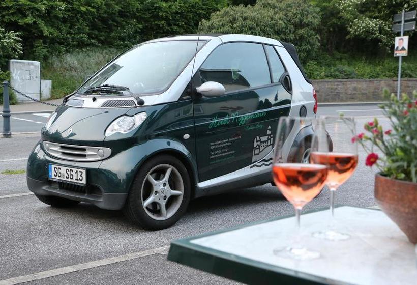 Отель Niggemann