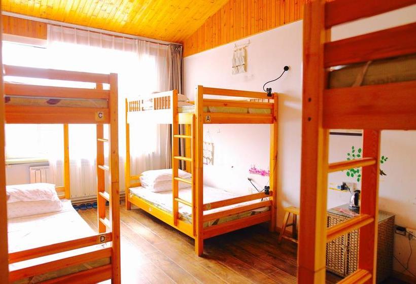 هتل Taishan International Youth Hostel