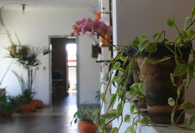 בית מלון כפרי Apart Manhattan