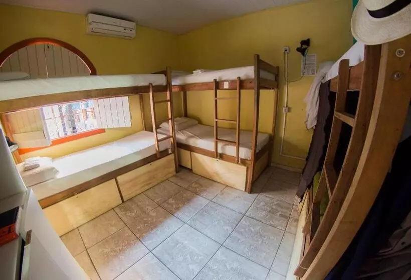 Hôtel Cosmopolitan Hostel