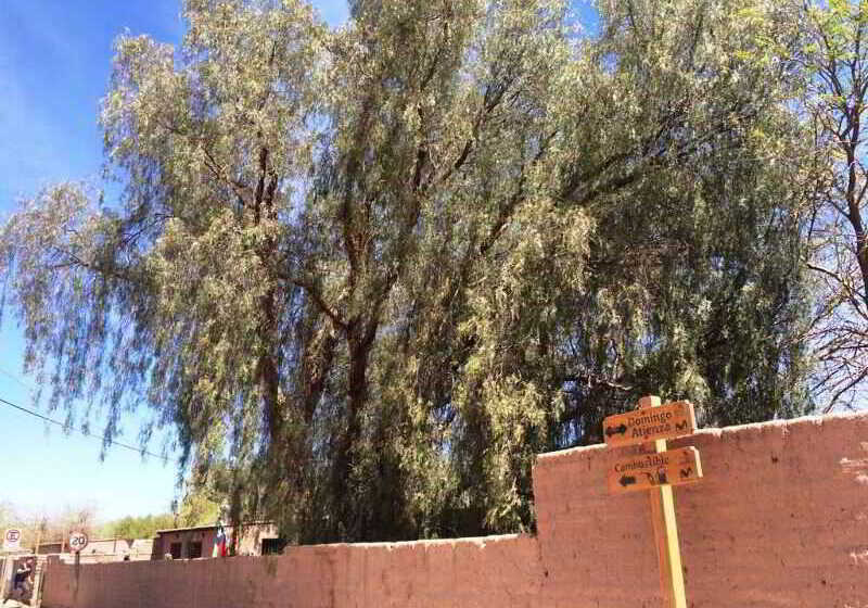 فندق Pat'ta Hoiri