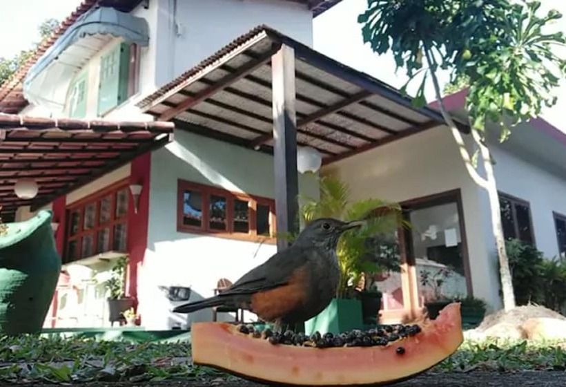 فندق Pousada Cantinho Do Sossego