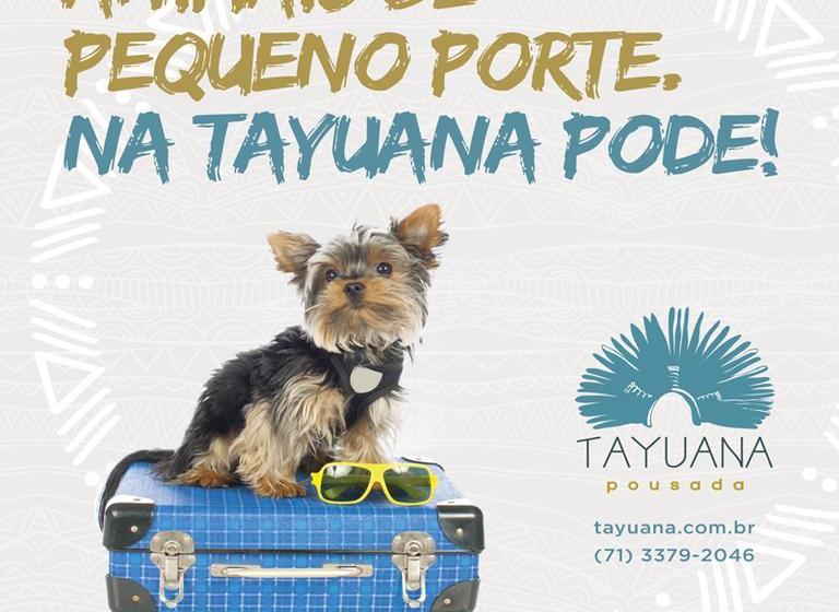 בית מלון כפרי Tayuana Pousada