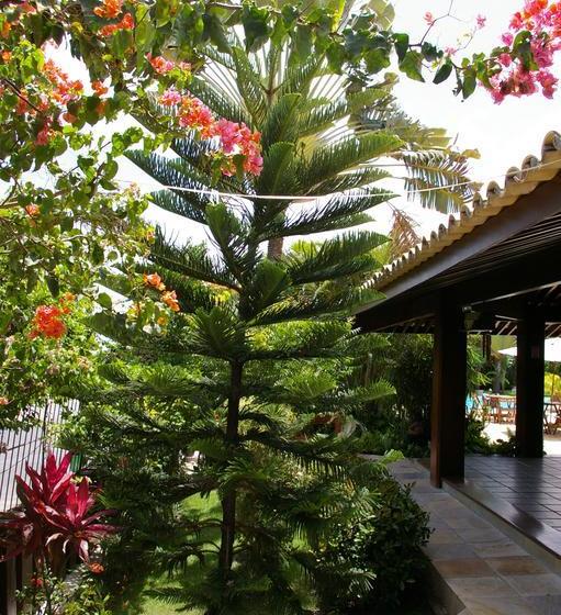 בית מלון כפרי Tayuana Pousada