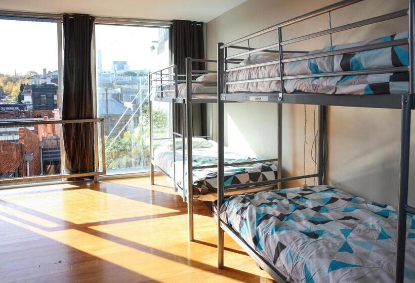 فندق صغير Barkly Backpackers