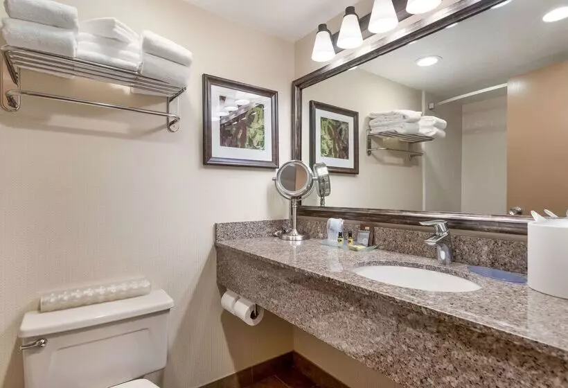 Hotelli Best Western Plus Cedar City