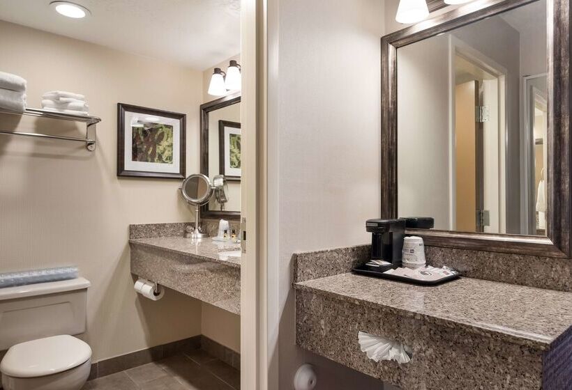 فندق Best Western Plus Cedar City
