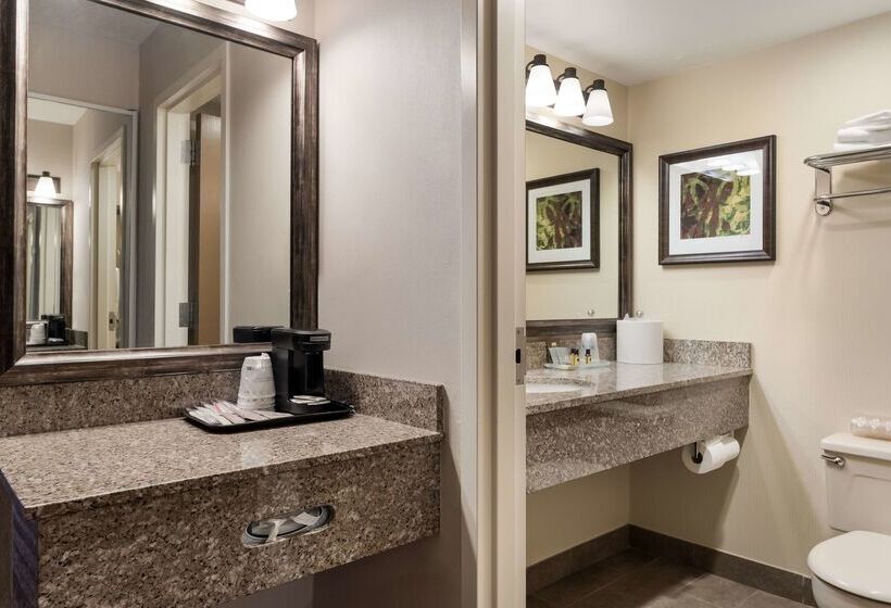 فندق Best Western Plus Cedar City