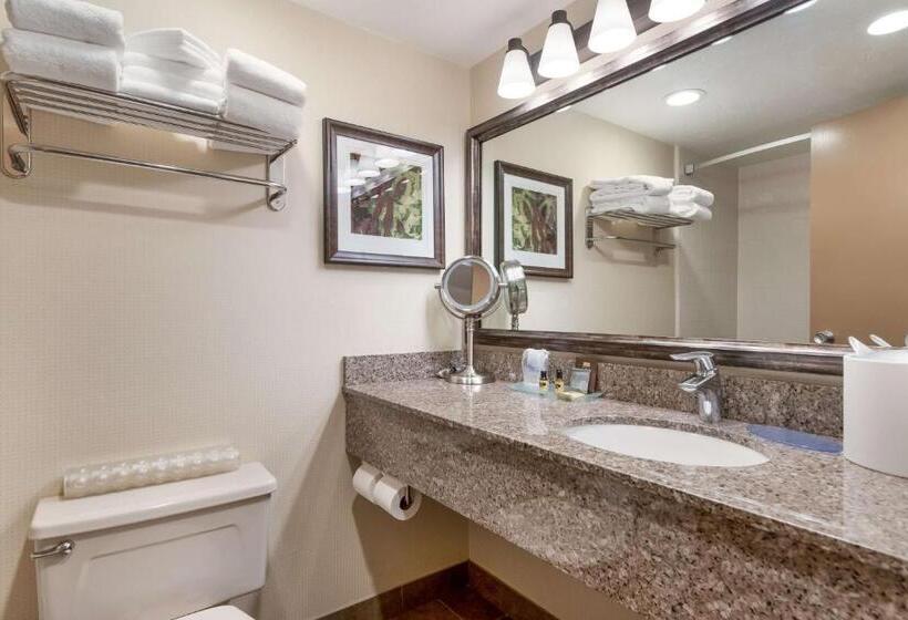 فندق Best Western Plus Cedar City