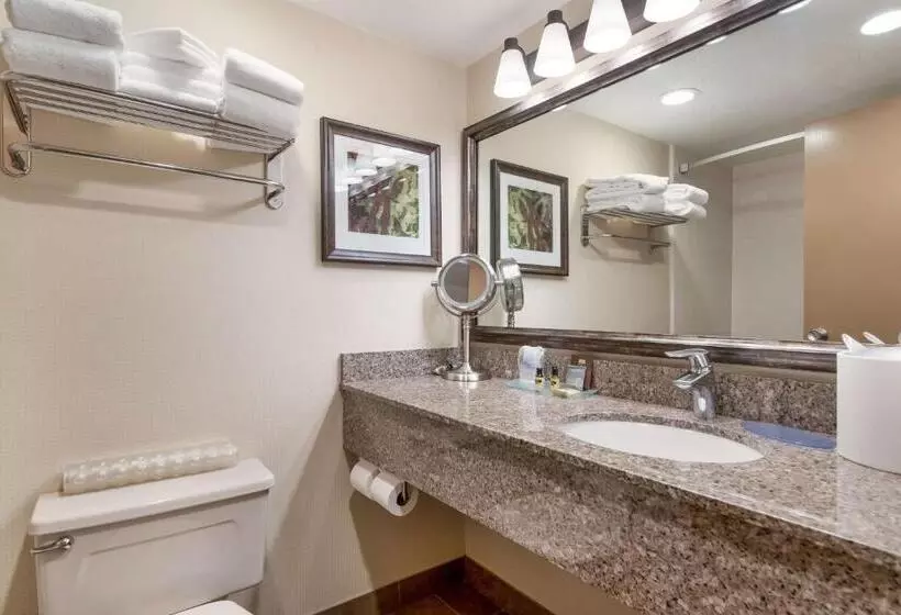 Hotelli Best Western Plus Cedar City