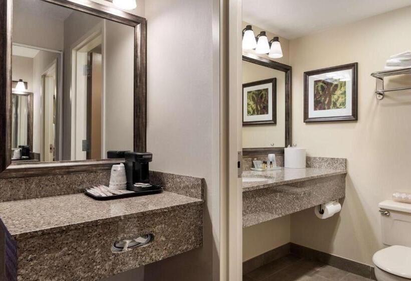 فندق Best Western Plus Cedar City