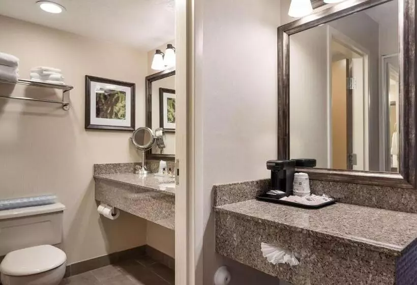 Hotelli Best Western Plus Cedar City