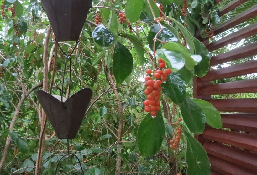 호텔 El Portillo Residences By Mint