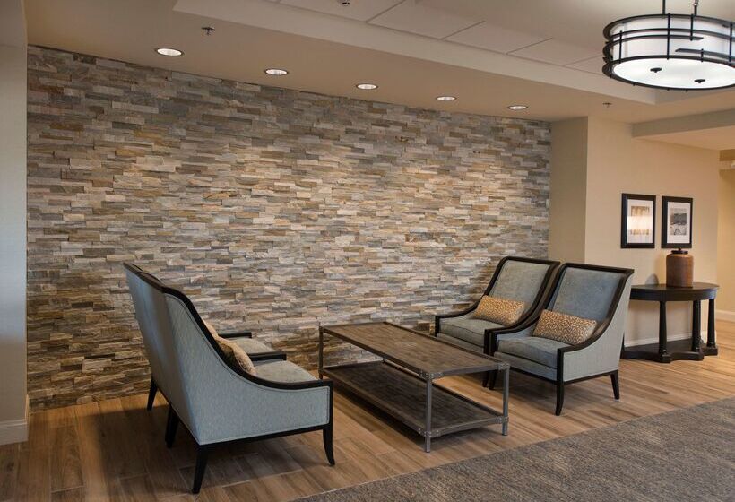 ホテル Hampton Inn & Suites Braselton