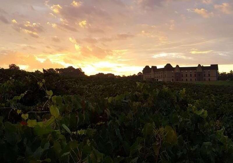 ホテル Hampton Inn & Suites Braselton