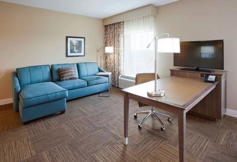ホテル Hampton Inn Minneapolis Roseville