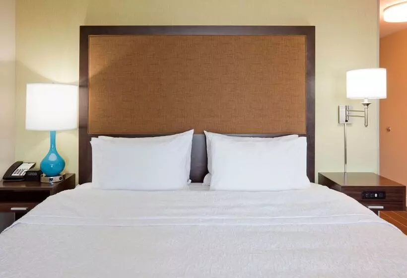 ホテル Hampton Inn Minneapolis Roseville