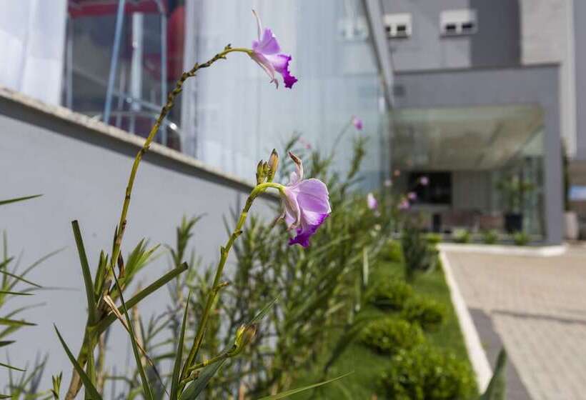 Hiber Hotel   Acesso A Chapecó