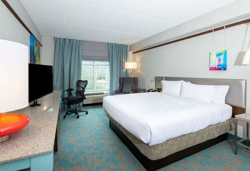 酒店 Hilton Garden Inn Asheville Downtown
