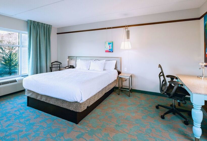 酒店 Hilton Garden Inn Asheville Downtown