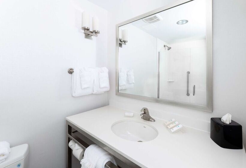 酒店 Hilton Garden Inn Asheville Downtown