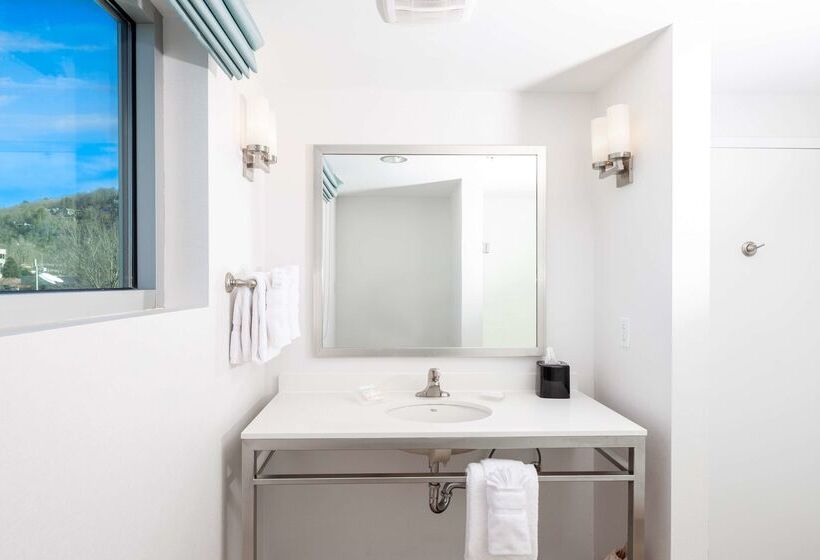 酒店 Hilton Garden Inn Asheville Downtown