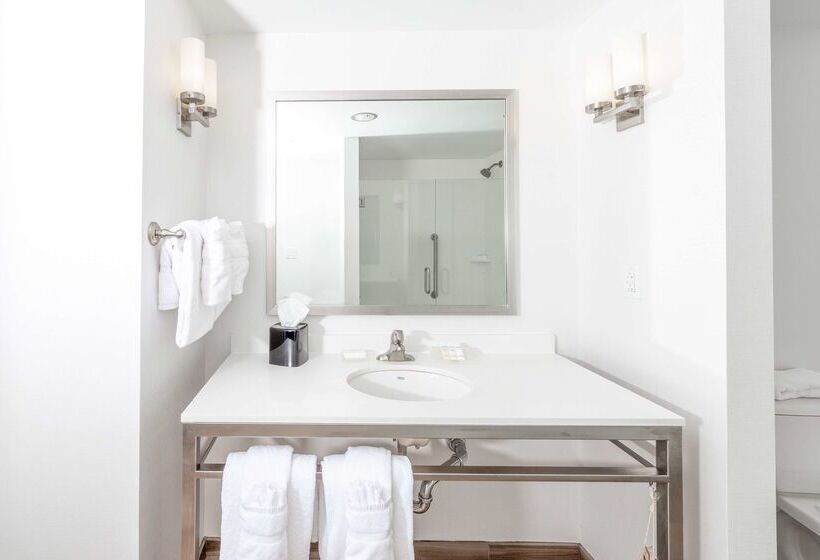 酒店 Hilton Garden Inn Asheville Downtown